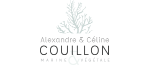 Alexandre Couillon