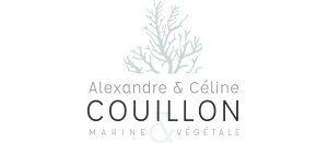 Alexandre Couillon