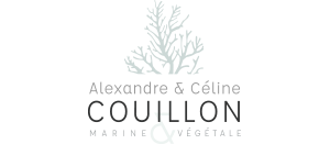 Alexandre Couillon